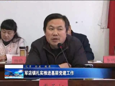 军店镇扎实推进基层党建工作