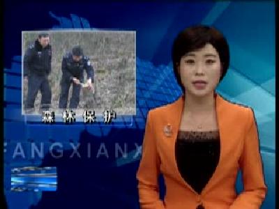县森林公安局“利剑行动”取得阶段性成效