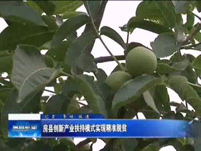 房县创新产业扶持模式实现精准脱贫