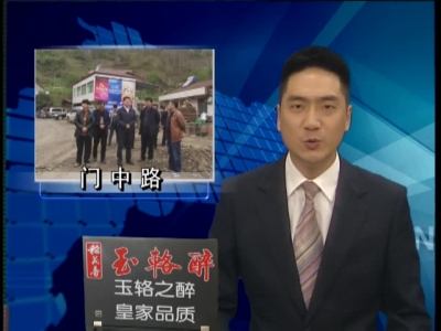 陈刚现场督办门中路建设