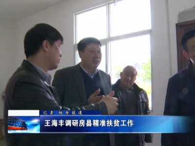 王海丰调研房县精准扶贫工作