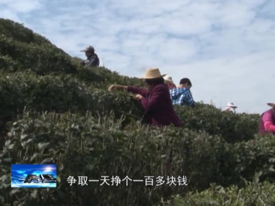 薛继成：我为扶贫尽点力