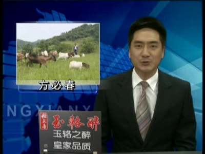 创新机制谋发展“致富书记”方必春系列报道之二 