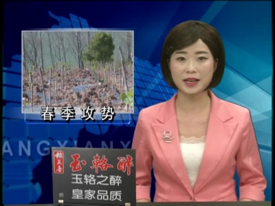 姚坪乡“一村一品”特色产业强力助推脱贫攻坚“春季攻势” 