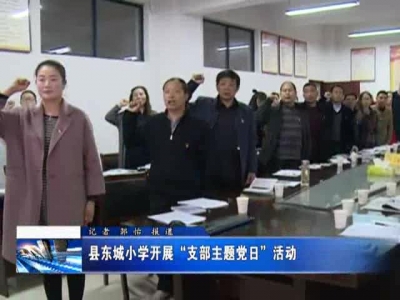 县东城小学开展“支部主题党日”活动