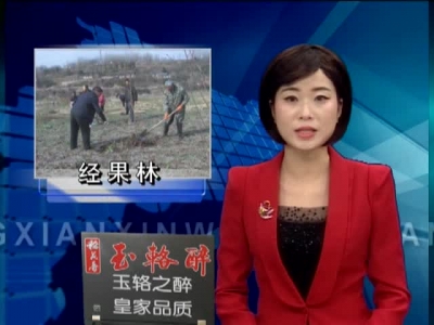 房县鼓励农民种植经果林