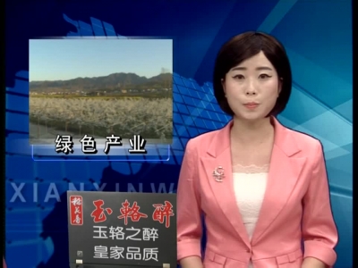 记者走基层 发展绿色产业 助推精准扶贫