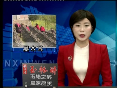 姚坪乡西坡村黑木耳喜获丰收