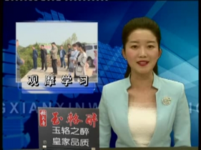 城关镇观摩学习交流助推精准扶贫 