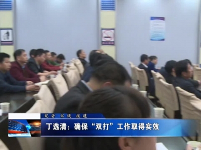 丁选清：确保“双打”工作取得实效