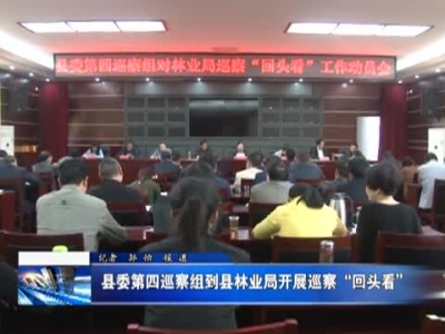县委第四巡查组到县林业局开展巡察“回头看” 