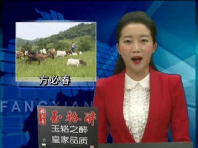 兴产业 谋发展——“致富书记”方必春系列报道之一