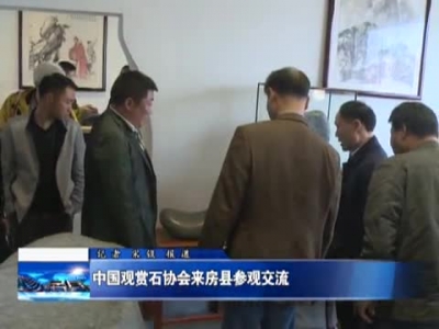 中国观赏石协会来房县参观交流