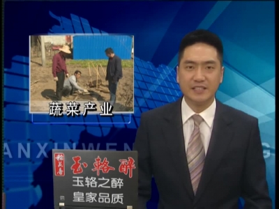 野人谷镇东蒿坪村：发展高山蔬菜 促进农民增收