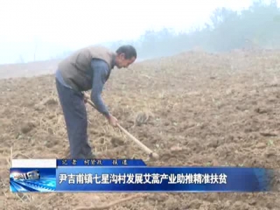 尹吉甫镇七星沟村发展艾蒿产业助推精准扶贫