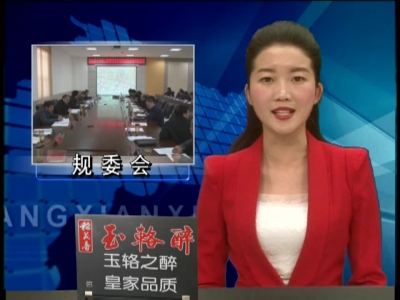 纪道清主持召开规委会第四次会议 