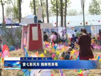 赏七彩风车 摘鲜艳草莓