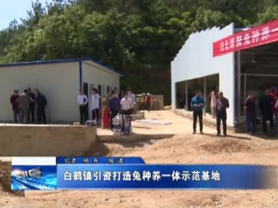 白鹤镇引资打造兔种养一体示范基地