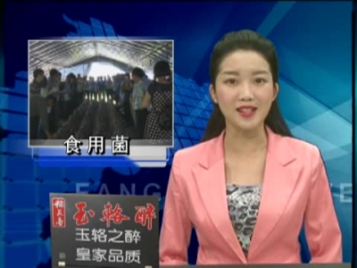 全市食用菌栽培技术培训会在房县举行 