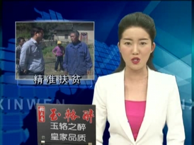 王家波暗访抽查军店 化龙部分村精准扶贫工作 