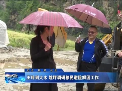 王玲到大木 姚坪调研移民避险解困工作