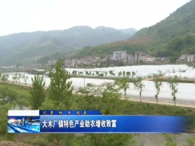 大木厂镇特色产业助农增收致富