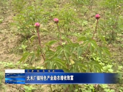 房县新闻20170510 