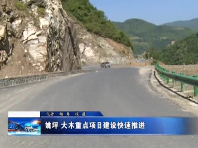 姚坪 大木重点项目建设快速推进