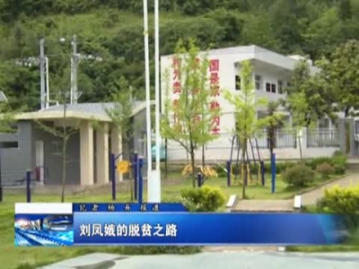 刘凤娥的脱贫之路 