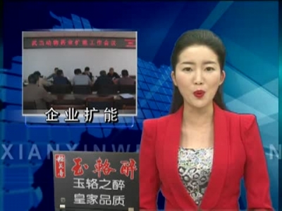 纪道清研究解决武当动物药业扩能工作 