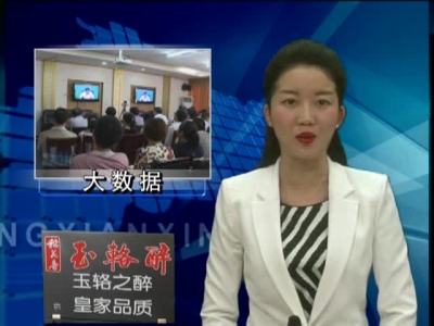 全市查处群众身边的四风和腐败问题暨运用大数据比对精准扶贫督查工作视频会召开