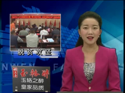 万峪河乡认真开展“聚力脱贫攻坚 五级代表在行动”活动