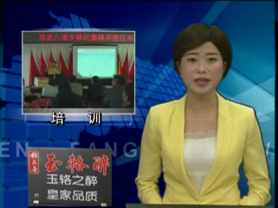 九道乡蜂蜜养殖培训 助力精准扶贫