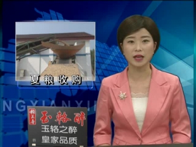 县粮食局认真谋划2017年夏粮收购“四步棋”