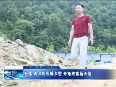 孙伟：返乡创业解乡愁   开拓致富新天地