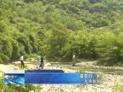 房县新闻20170711 