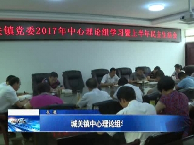 城关镇中心理论组学习常态化