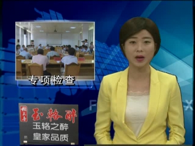 县人大常委会对法院执行工作进行专项检查