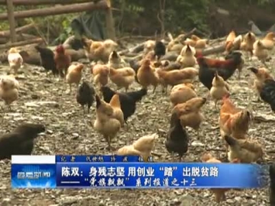 陈双：身残志坚 用创业“踏”出脱贫路