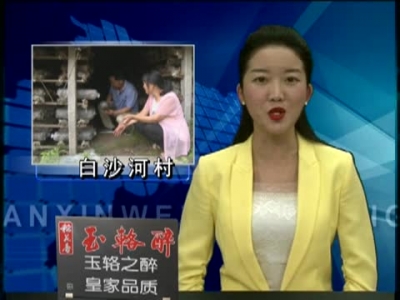 白沙河畔党旗红