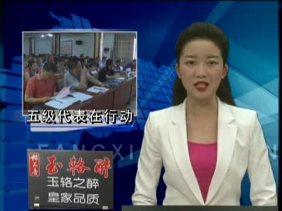 城关镇推进“聚力脱贫攻坚 五级代表在行动”活动 