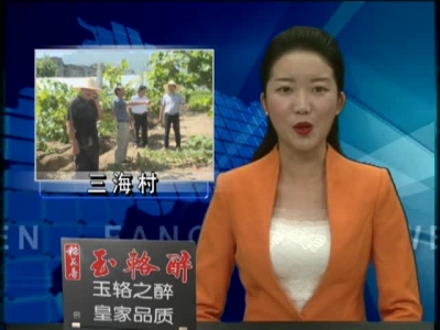 三海村发展家庭农场助力精准脱贫