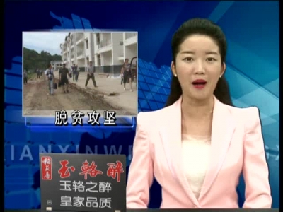 沙河乡开展“聚力脱贫攻坚 五级代表在行动”活动