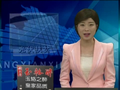 大木厂镇马回湾光伏扶贫项目并网发电