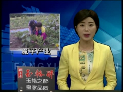 房县发展魔芋产业助推精准脱贫 