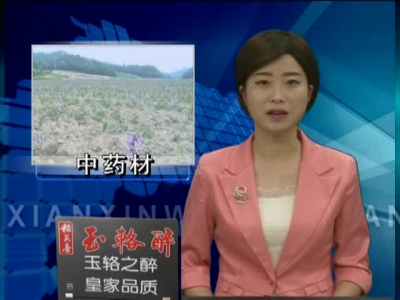 万峪河乡全力打造中药材之乡