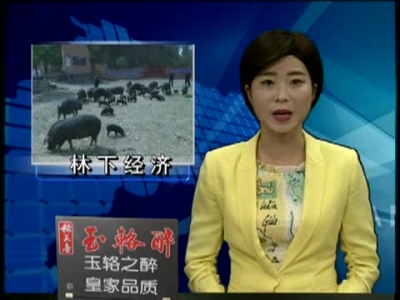 五台乡“变闲为宝”助推脱贫攻坚 