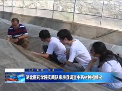 湖北医药学院实践队来房县调查中药材种植情况