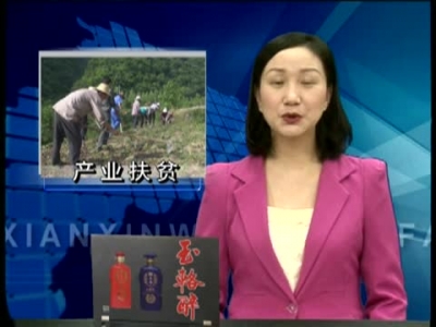 房县着力打造全省道地中药材主产地