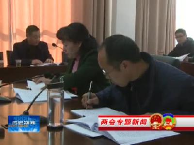 县人大代表分组讨论 共议民生话发展献良策